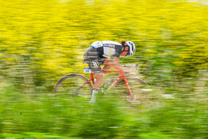 Lutte contre les nuisibles Roubaix