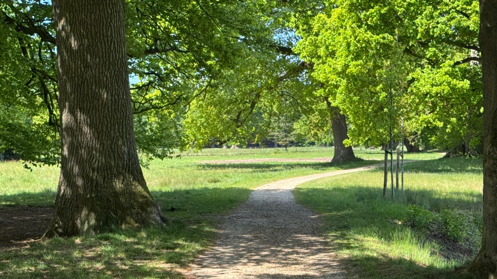 Lutte contre les nuisibles à Roubaix